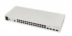 Ethernet Access Switches MES2428B