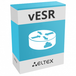 vESR virtual service routers